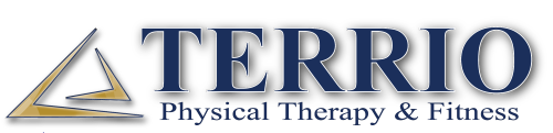 TERRIO logo dark theme