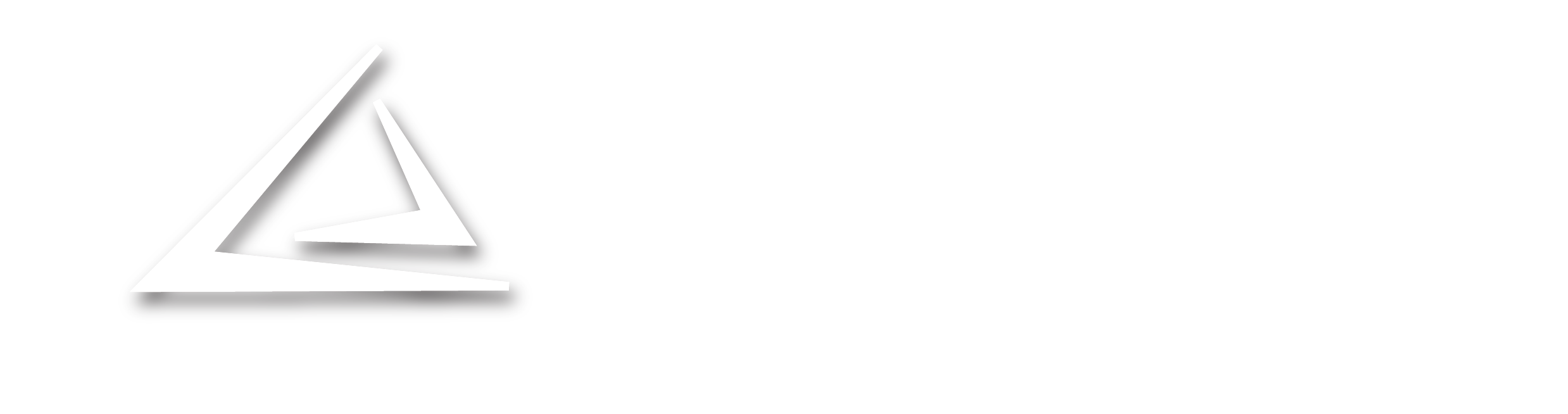 TERRIO logo light theme